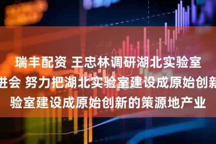 瑞丰配资 王忠林调研湖北实验室建设并召开推进会 努力把湖北实验室建设成原始创新的策源地产业